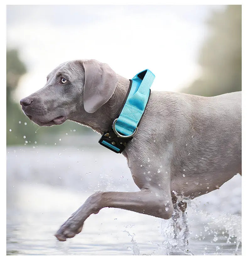 New Pet Explosion-Proof Tactical Collar with Handle for medium and large dogs StepbyStep