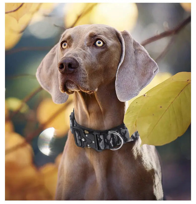 New Pet Explosion-Proof Tactical Collar with Handle for medium and large dogs StepbyStep