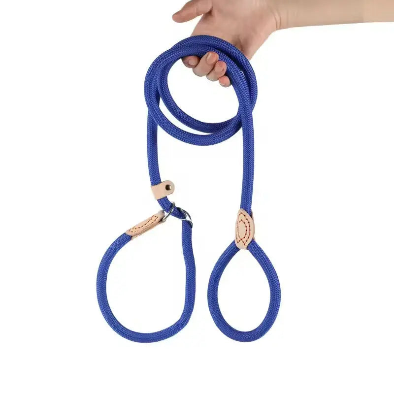 Adjustable Dog Walking on a Lead StepbyStep