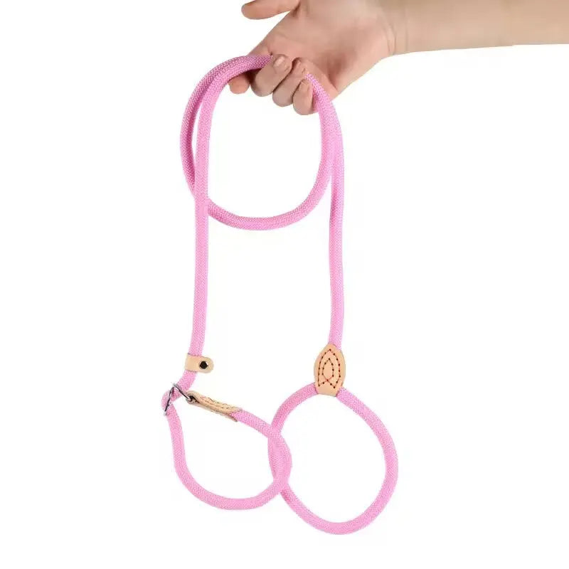 Adjustable Dog Walking on a Lead StepbyStep