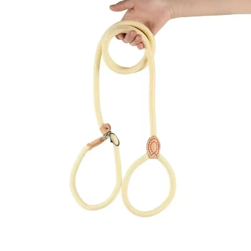 Adjustable Dog Walking on a Lead StepbyStep