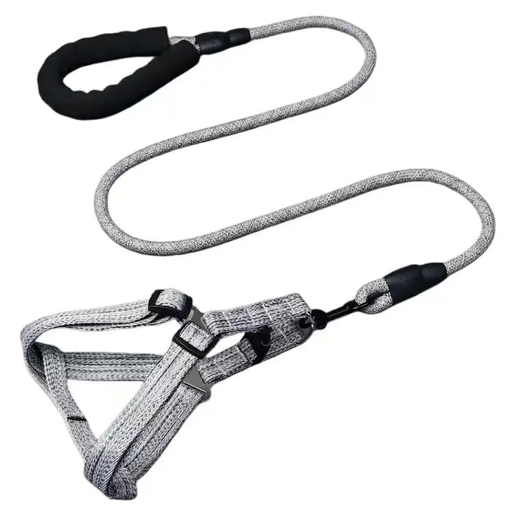 Adjustable Dog Harness and Leash Set StepbyStep