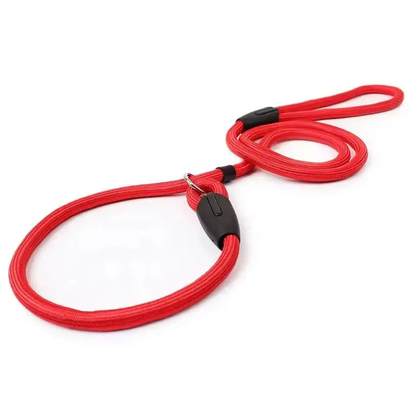Durable Nylon Pet P Chain Lead Dog Strap Rope StepbyStep