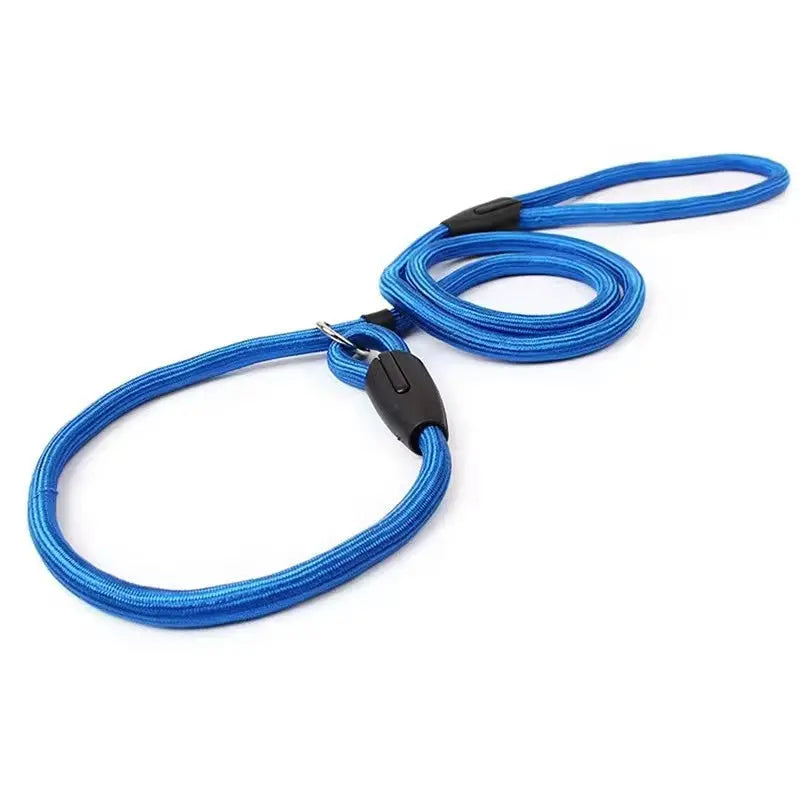 Durable Nylon Pet P Chain Lead Dog Strap Rope StepbyStep
