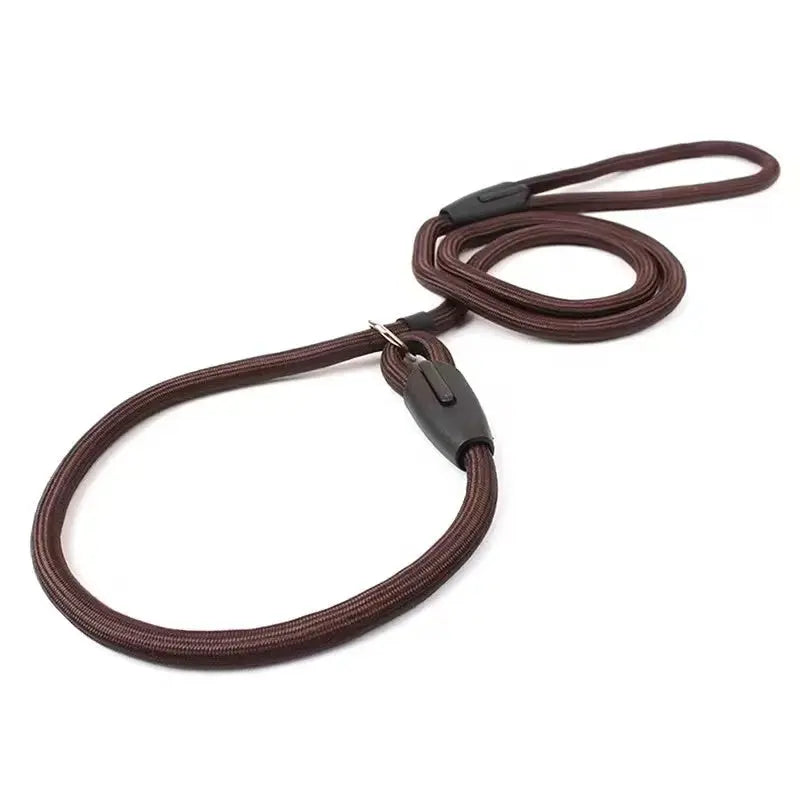 Durable Nylon Pet P Chain Lead Dog Strap Rope StepbyStep