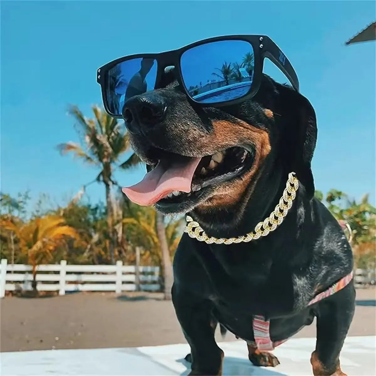 Luxury Dog Necklace Collar StepbyStep
