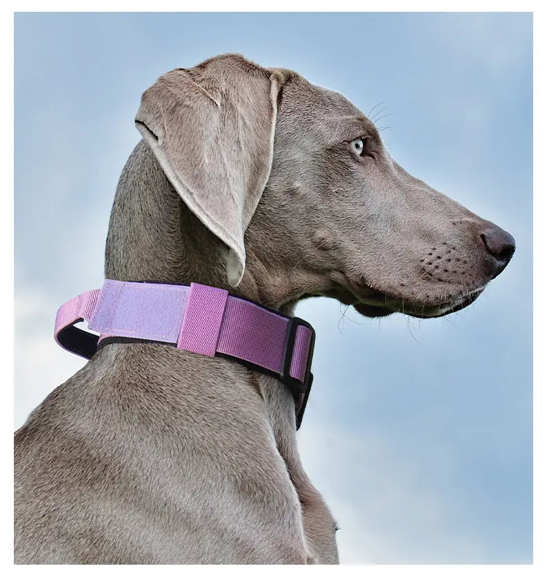 New Pet Explosion-Proof Tactical Collar with Handle for medium and large dogs StepbyStep
