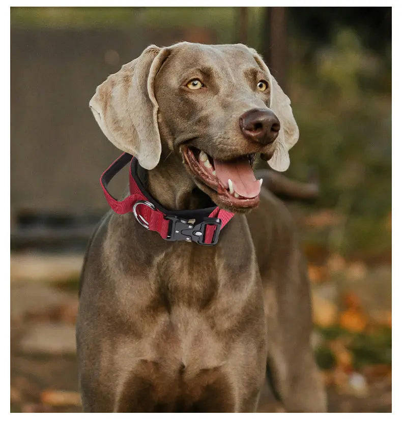 New Pet Explosion-Proof Tactical Collar with Handle for medium and large dogs StepbyStep