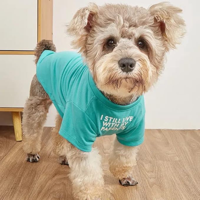 Cute Dog Clothes StepbyStep