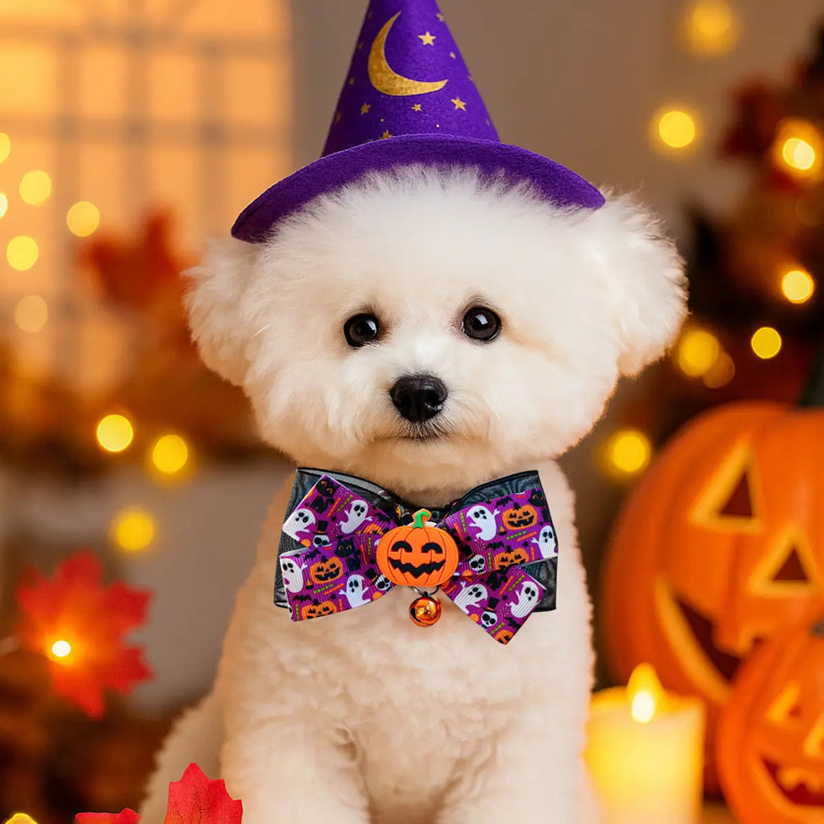 Halloween Pet Collar StepbyStep