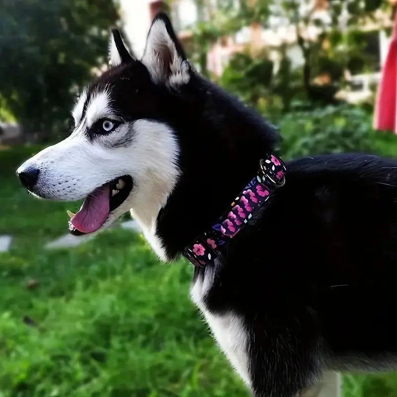 New Adjustable Release Buckle Printed Ribbon Pet Collar StepbyStep