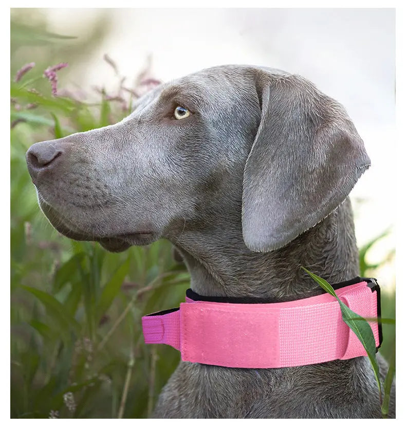 New Pet Explosion-Proof Tactical Collar with Handle for medium and large dogs StepbyStep