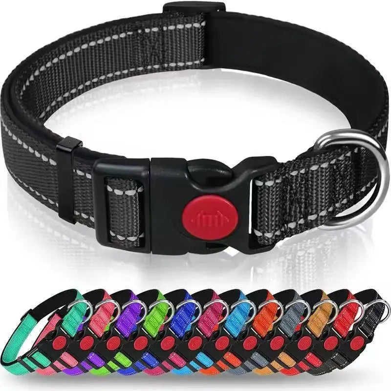 Reflective and Adjustable Nylon Collar StepbyStep