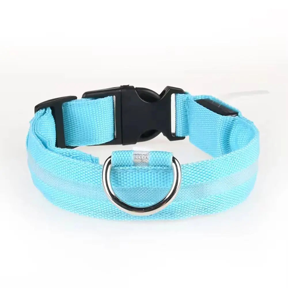 Popular Rechargeable Glow in the Dark Dog Collar StepbyStep