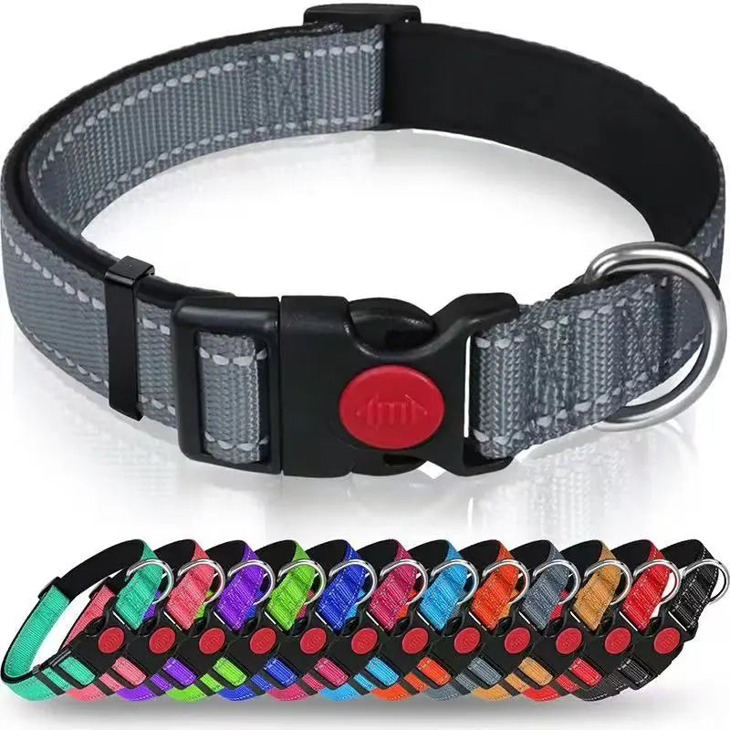 Reflective and Adjustable Nylon Collar StepbyStep