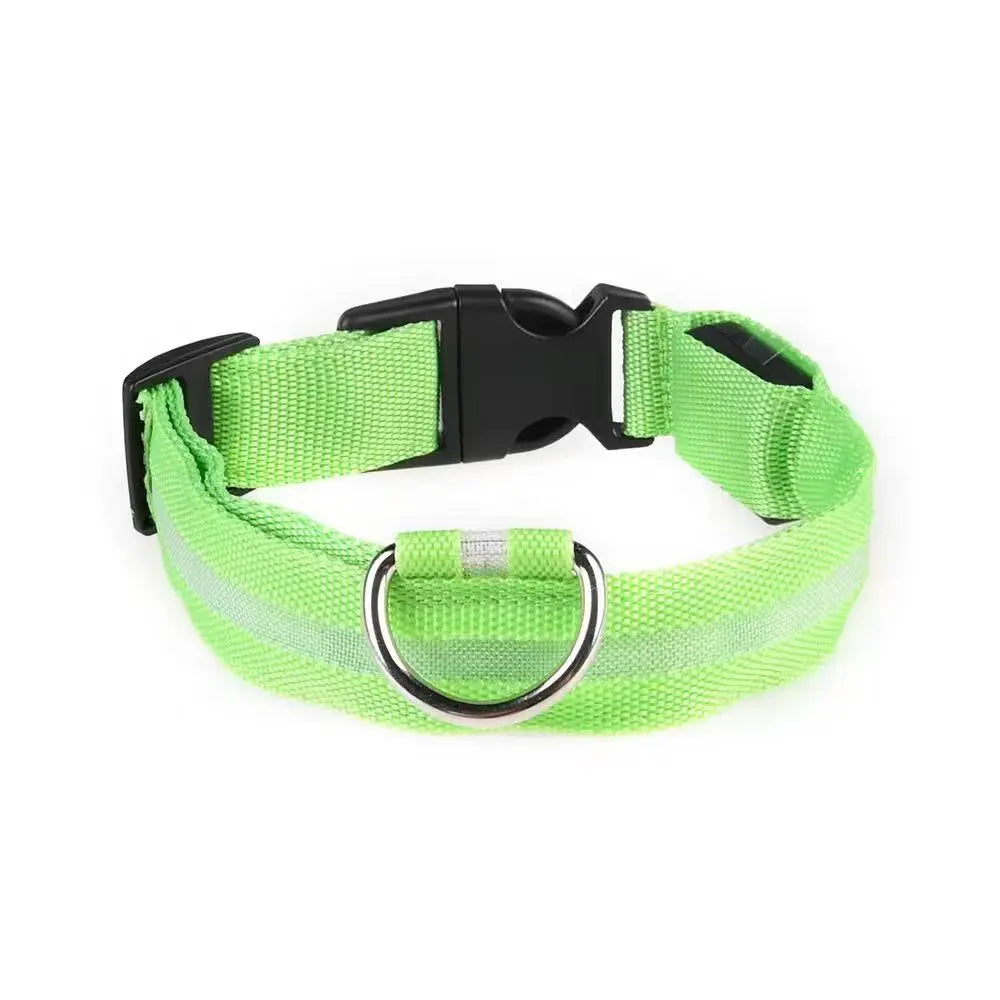 Popular Rechargeable Glow in the Dark Dog Collar StepbyStep