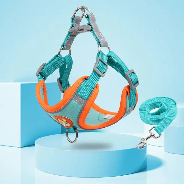 Hot Reflective Harness for Small Dogs StepbyStep