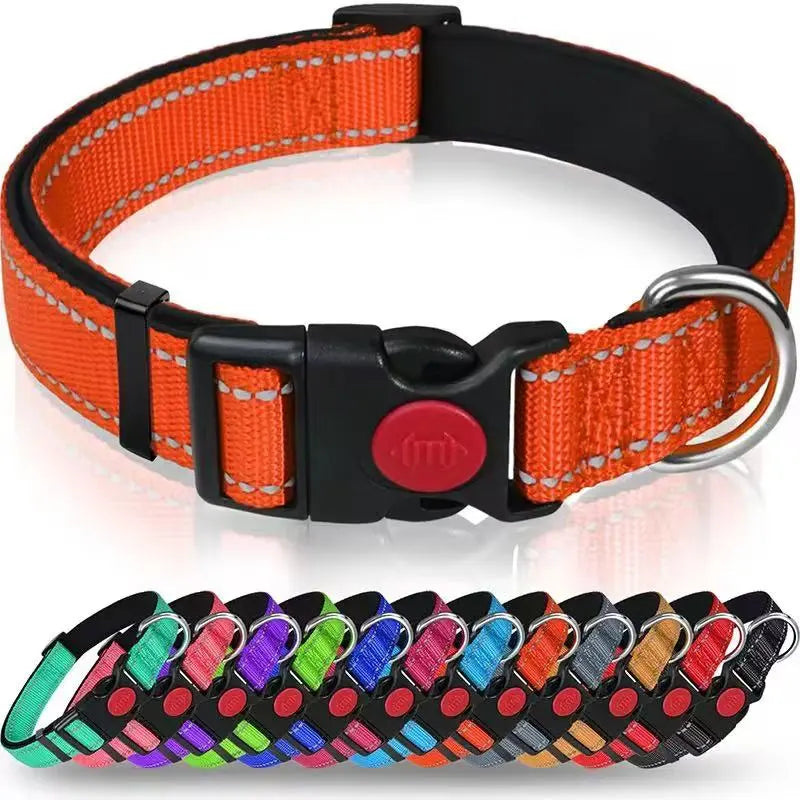 Reflective and Adjustable Nylon Collar StepbyStep
