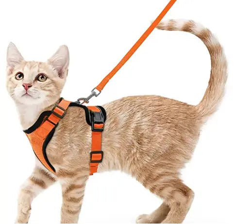 Reflective Adjustable Vest Harnesses for Wallking StepbyStep
