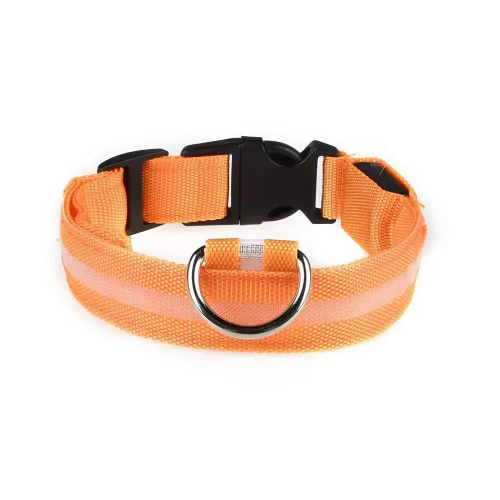 Popular Rechargeable Glow in the Dark Dog Collar StepbyStep