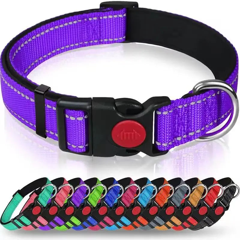 Reflective and Adjustable Nylon Collar StepbyStep