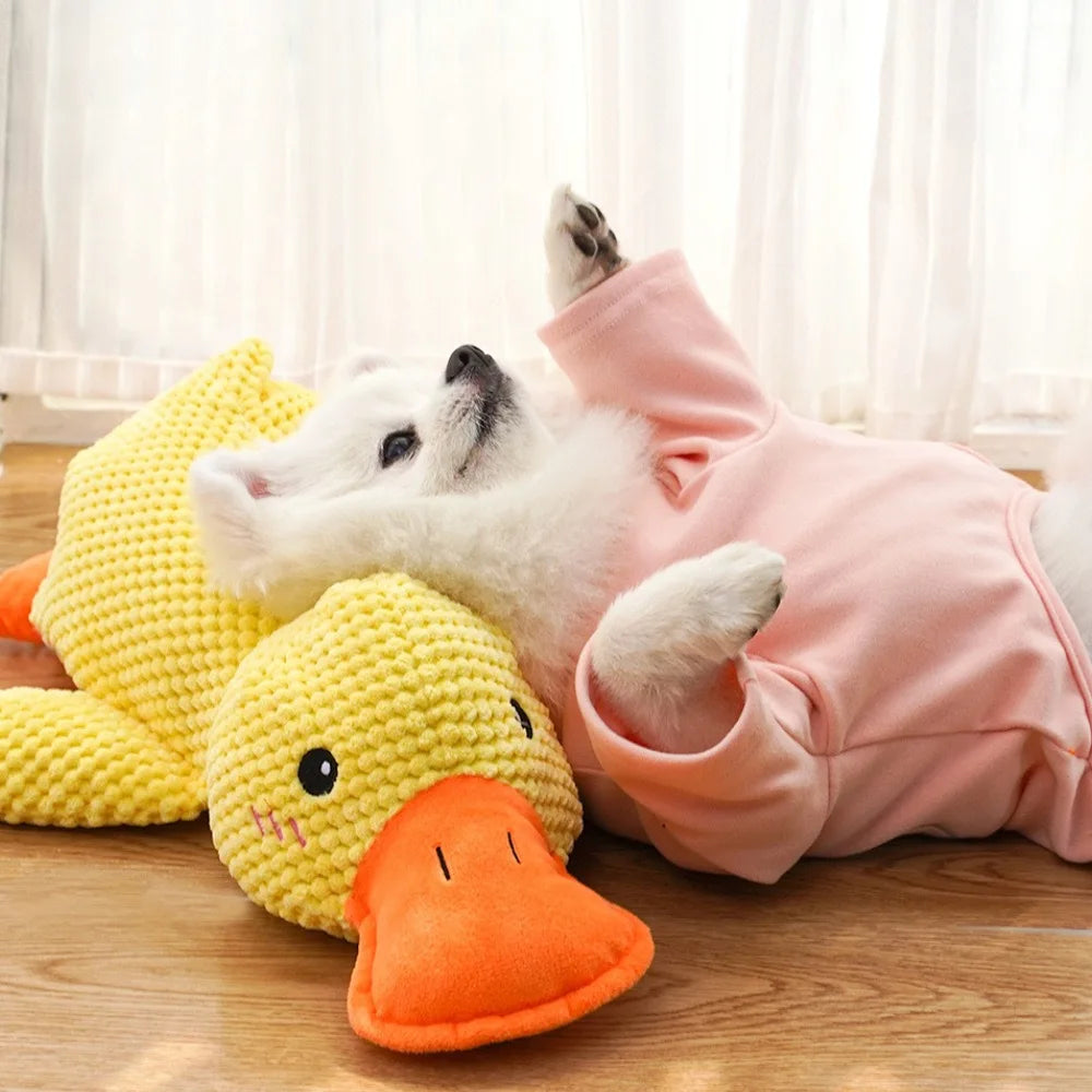 Duck Shape Dog Toy Quacking Plush Pet Toy StepbyStep