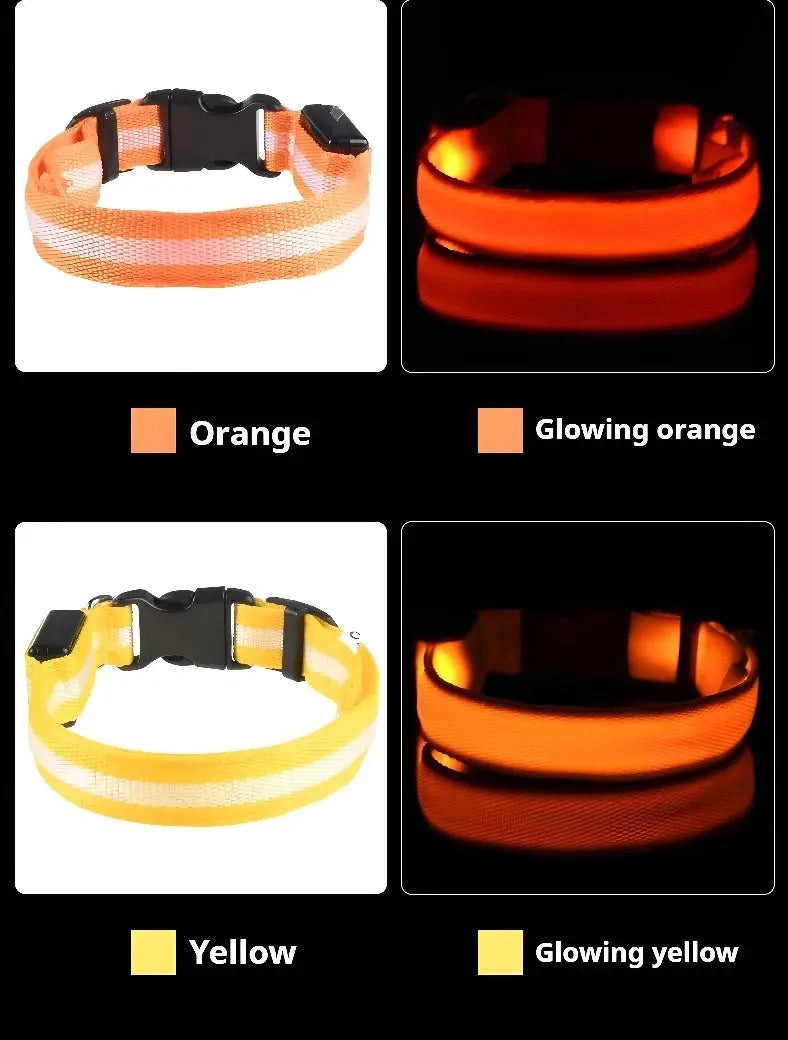 Popular Rechargeable Glow in the Dark Dog Collar StepbyStep