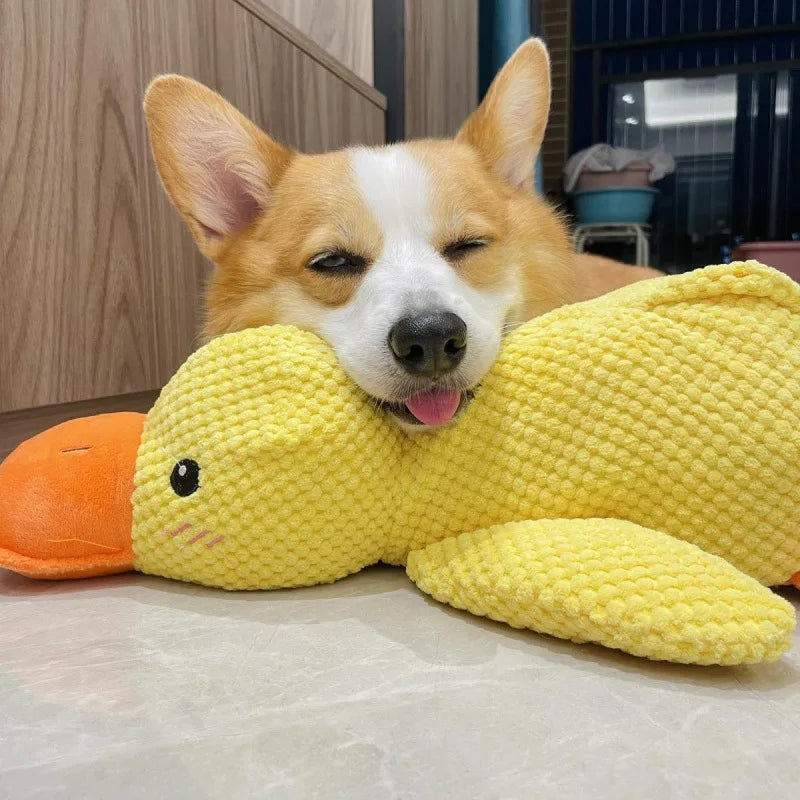 Duck Shape Dog Toy Quacking Plush Pet Toy StepbyStep