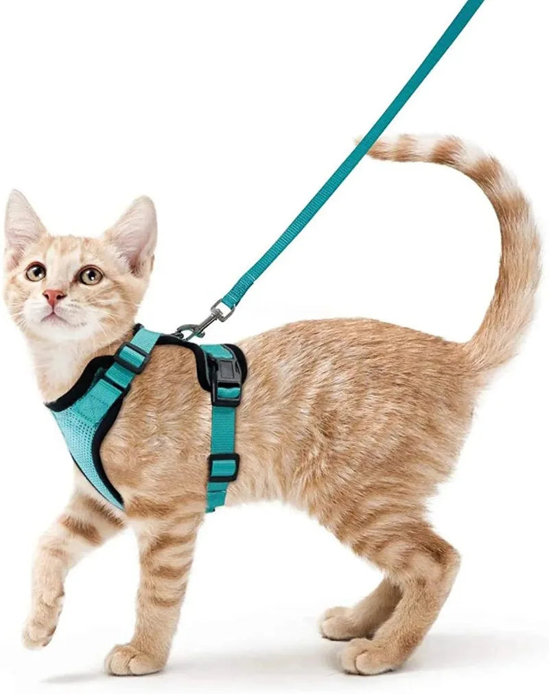 Reflective Adjustable Vest Harnesses for Wallking StepbyStep