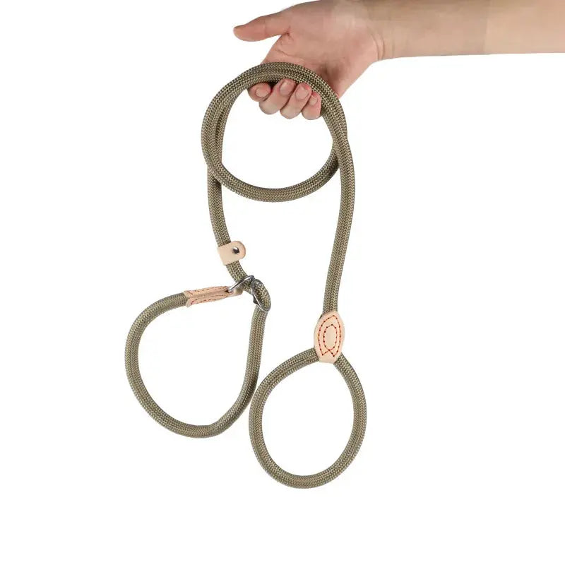 Adjustable Dog Walking on a Lead StepbyStep