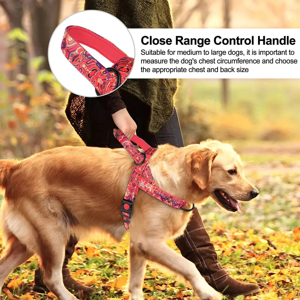 New No Pull Pet Safe Easy Walk Harness StepbyStep