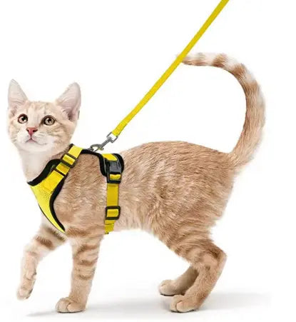 Reflective Adjustable Vest Harnesses for Wallking StepbyStep