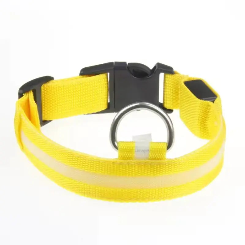 Popular Rechargeable Glow in the Dark Dog Collar StepbyStep