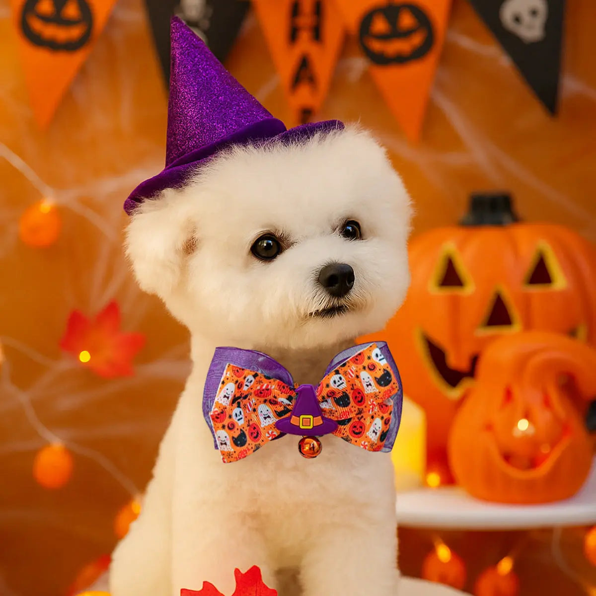 Halloween Pet Collar StepbyStep