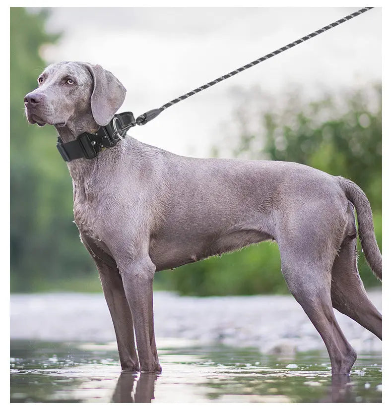 New Pet Explosion-Proof Tactical Collar with Handle for medium and large dogs StepbyStep