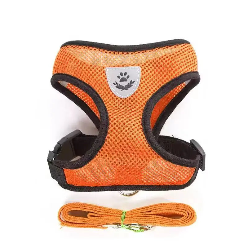 Soft Comfortable Dog Harness and Leash Set StepbyStep