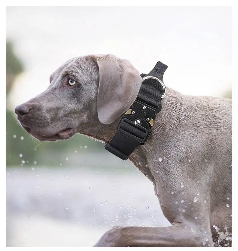 New Pet Explosion-Proof Tactical Collar with Handle for medium and large dogs StepbyStep