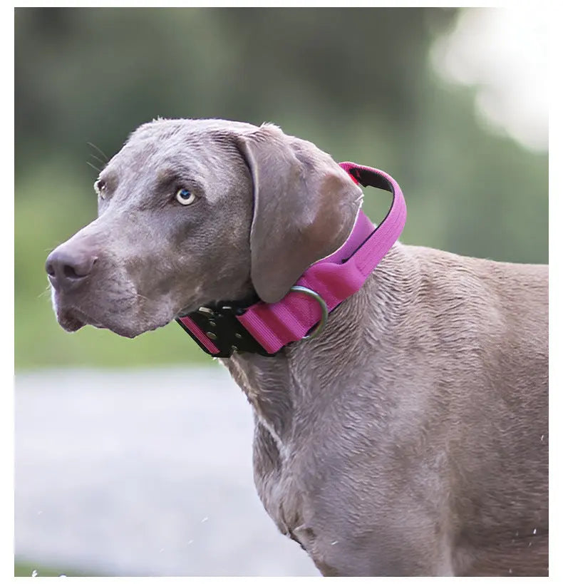New Pet Explosion-Proof Tactical Collar with Handle for medium and large dogs StepbyStep