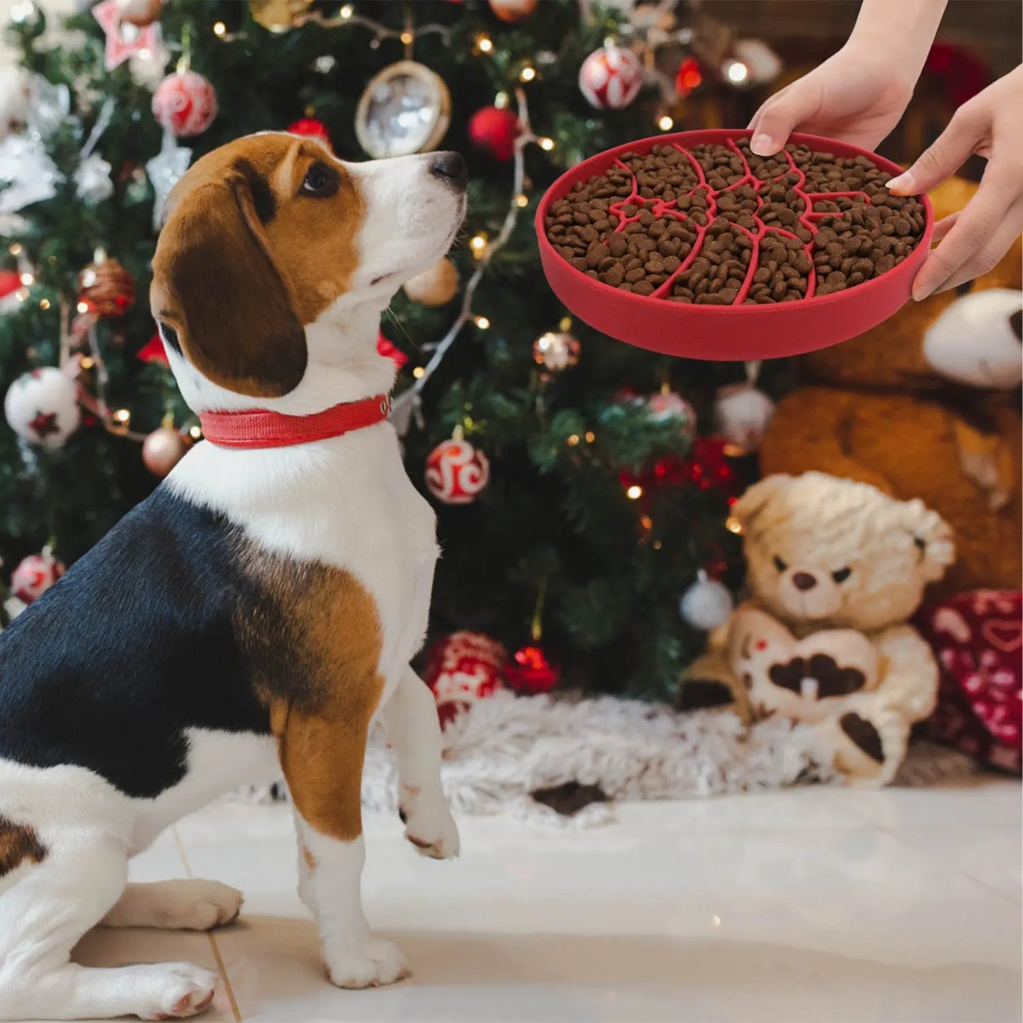 Christmas Style Dog Slow Feeder Bowl stepbystep