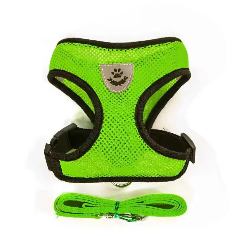 Soft Comfortable Dog Harness and Leash Set StepbyStep