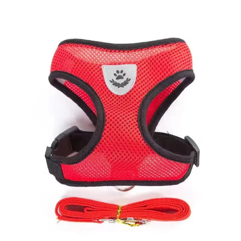 Soft Comfortable Dog Harness and Leash Set StepbyStep