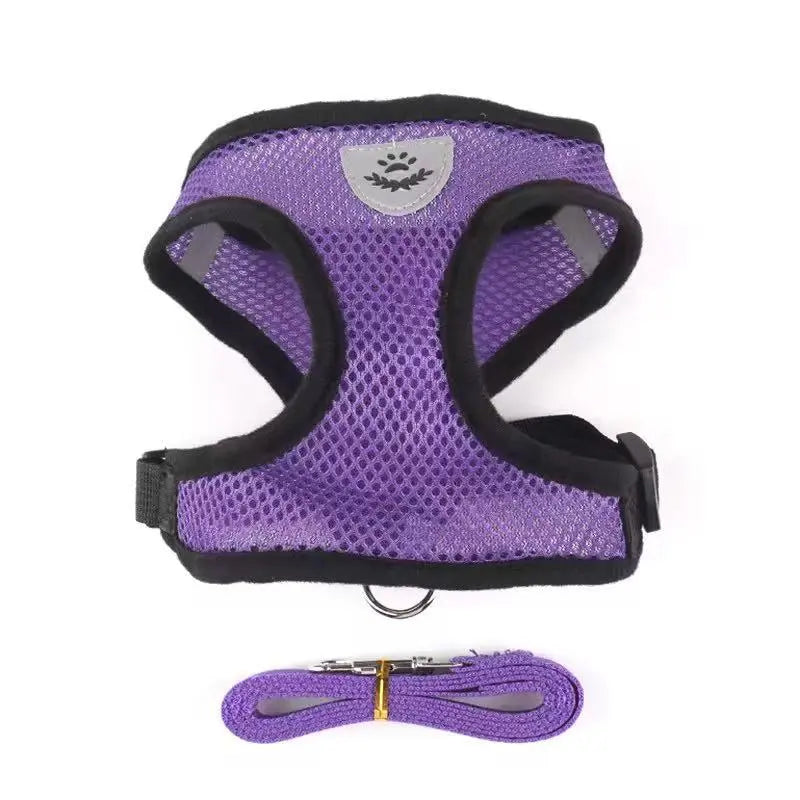 Soft Comfortable Dog Harness and Leash Set StepbyStep