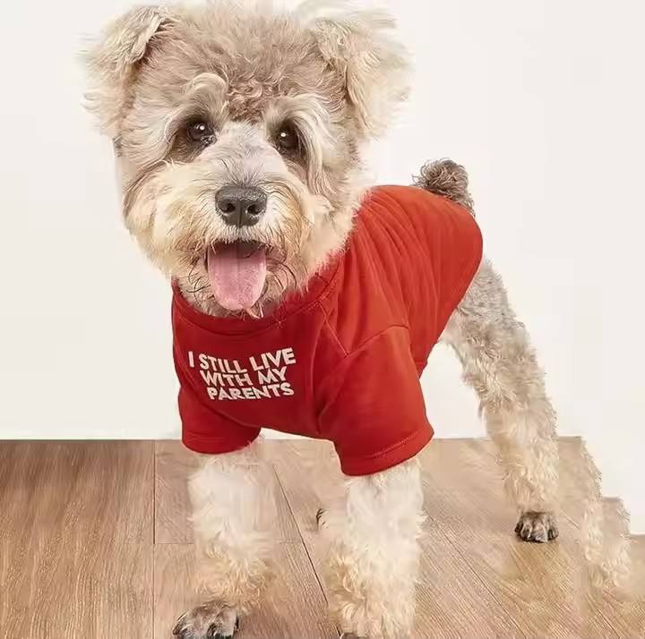 Cute Dog Clothes StepbyStep