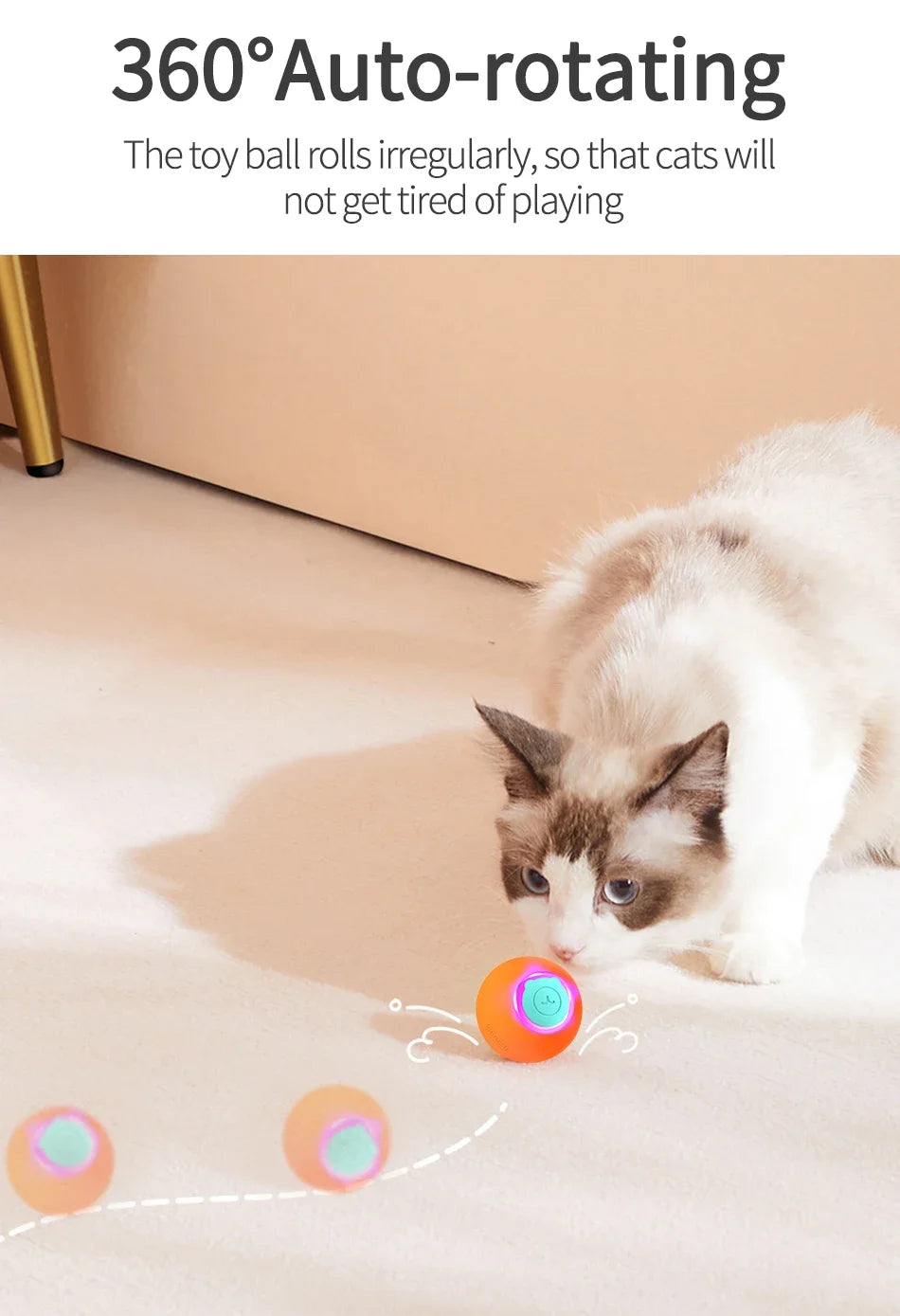 Automatic Rolling Ball Interactive Training StepbyStep