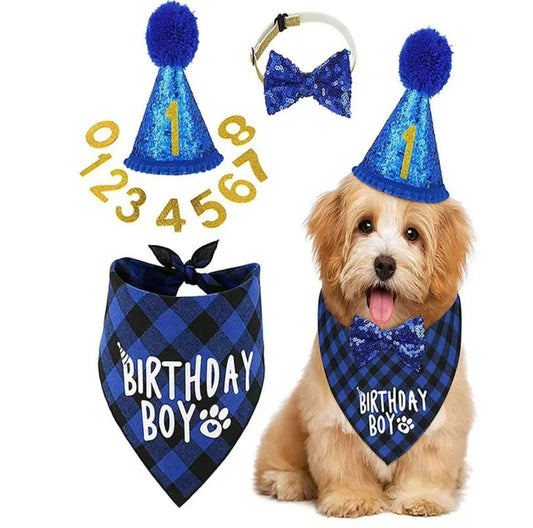 Dog Birthday Party Supplies StepbyStep