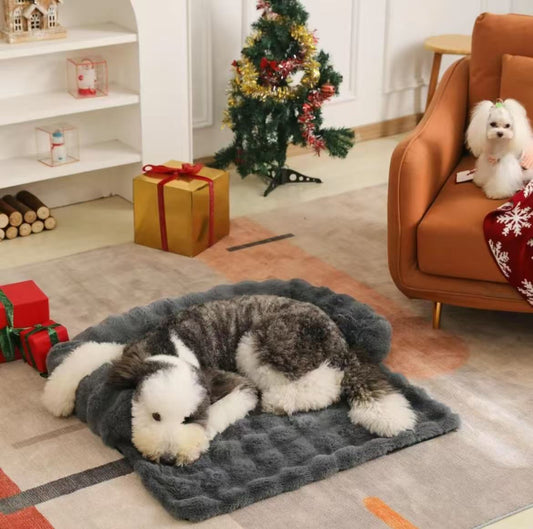 Puppy Stroller StepbyStep