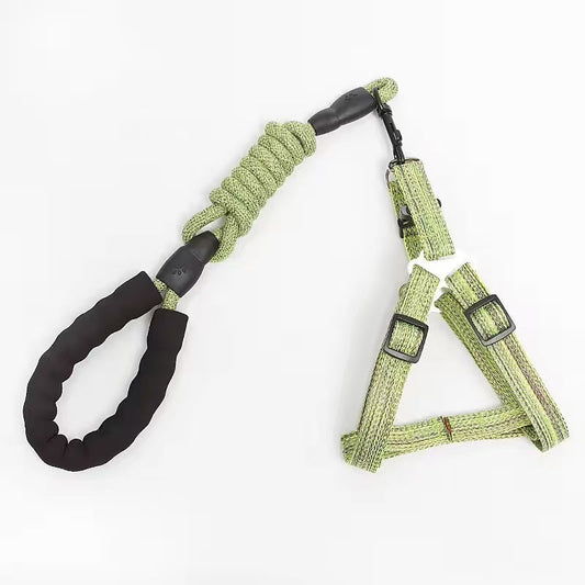 Adjustable Dog Harness and Leash Set StepbyStep