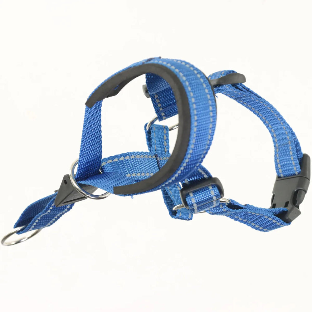 Dog Head Halter StepbyStep