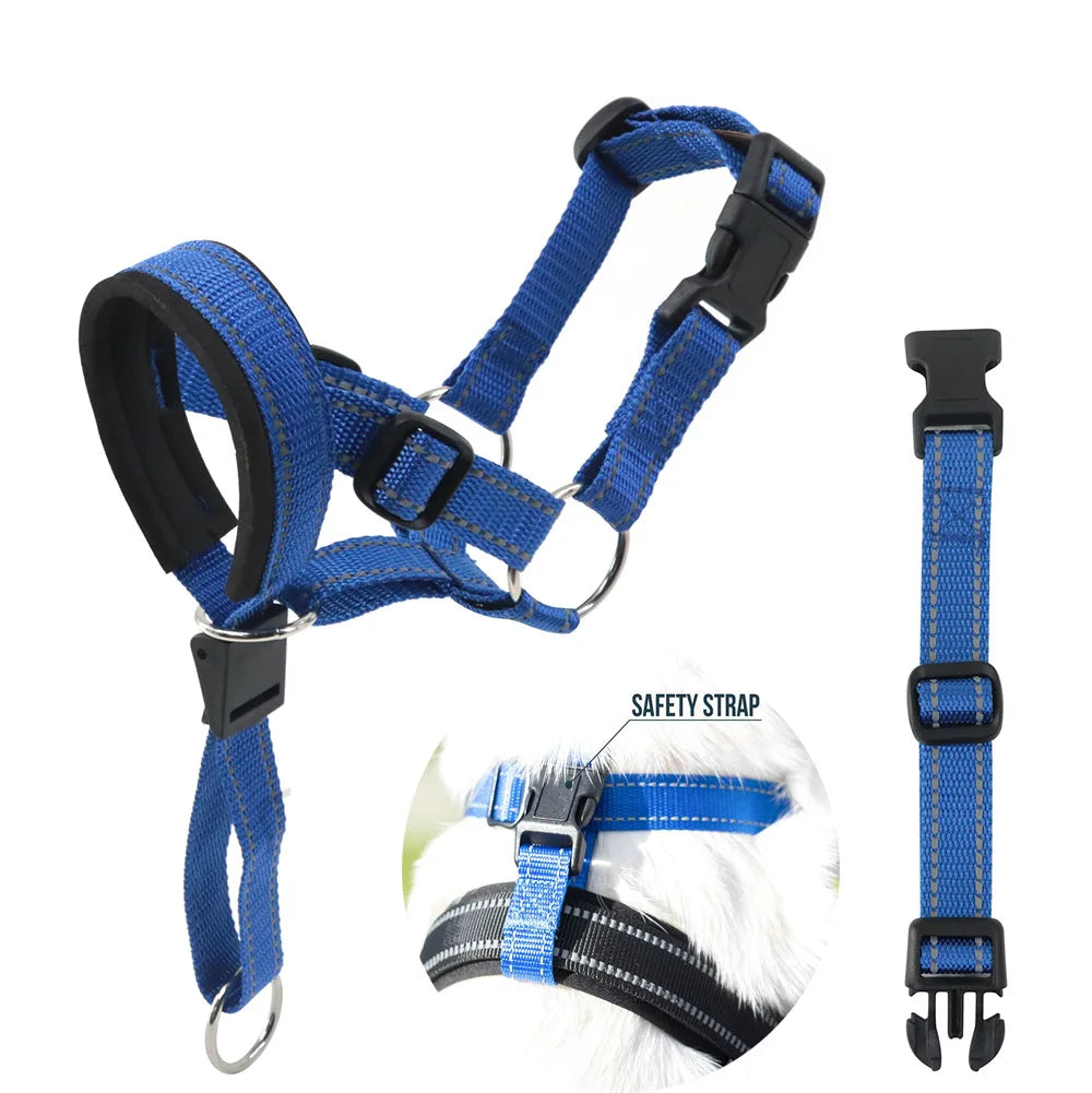 Dog Head Halter StepbyStep