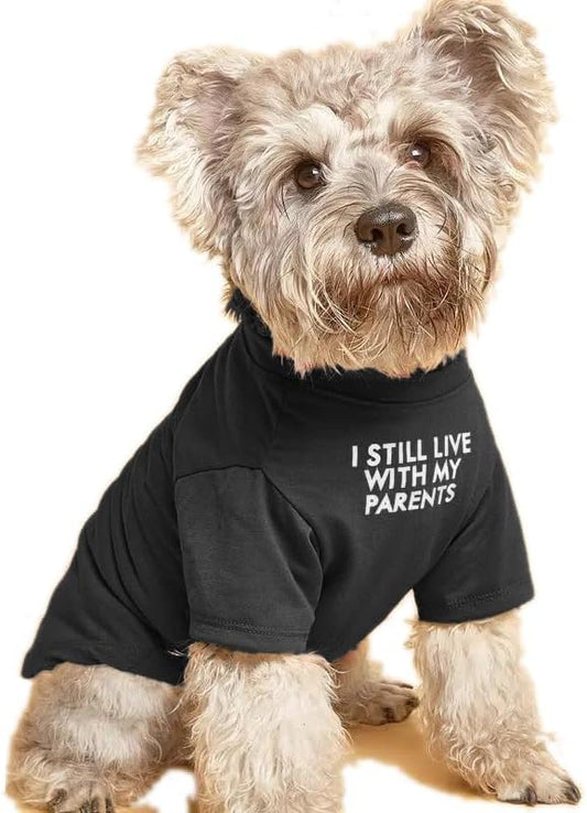 Cute Dog Clothes StepbyStep